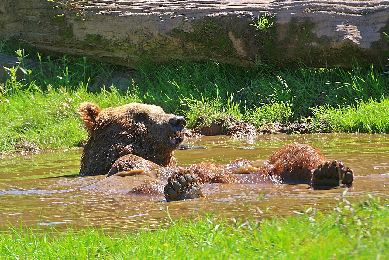 Wallungen Schwitzen Menopause